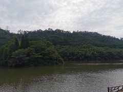 -滴水岩森林公园