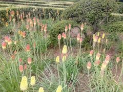 -洛阳白云山景区