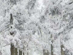 -南岳衡山风景名胜区-南岳大庙