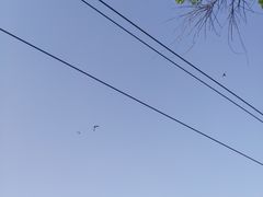 -前关湿地公园