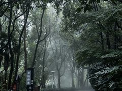 -长谷洞天