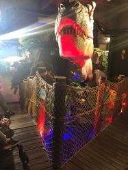 -恐龙探索乐园(磁器口店)