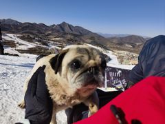 -蓟洲国际滑雪场
