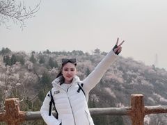-白水寺森林公园