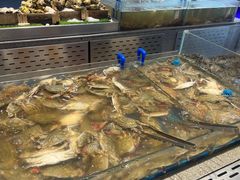 -半岛听涛蒸汽海鲜自助(K11店)