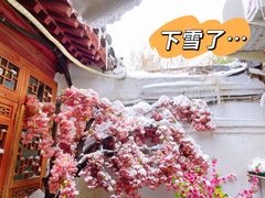 -丽江庭院之爱在路上(西单店)