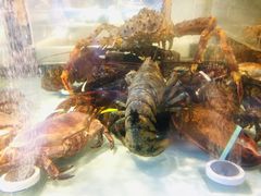 -黄商生活超市(黄冈黄州万达店)