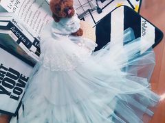 -PETKIT小佩宠物·低压洗护(国顺东路店)