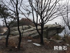 -大伊山景区
