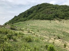 -白草畔自然风景区