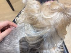 -星河荟健身Cihooklub(中大别墅店)