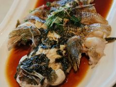 -三利音·浦之舟(滨江大道店)