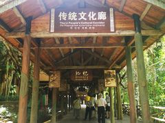 -海南槟榔谷黎苗文化旅游区