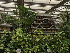 -南宫五洲植物乐园