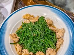 -蒙古大营(朝阳公园店)