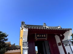 -普陀山雷迪森庄园