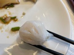 -金悦轩海鲜城(渔人码头店)