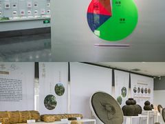 -中国茶叶博物馆(双峰馆区)