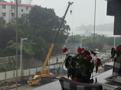 -泰谷酒店·太古码头闽菜自助餐厅