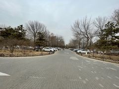-大兴滨河森林公园