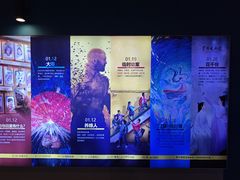 -首都电影院(西单店 LED巨幕)