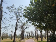 -芒洲湿地公园