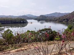 -红花湖景区