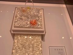 -BLACKSWAN黑天鹅(环球店)