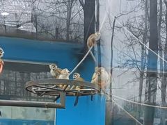 -秦皇岛野生动物园