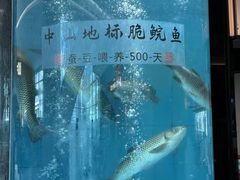 -谭厨中山传家菜.乳鸽.脆鲩鱼(华强北中航城店)