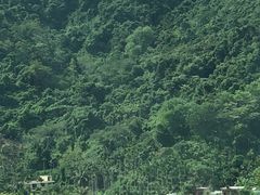 -海南槟榔谷黎苗文化旅游区