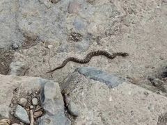 -北京鹫峰国家森林公园