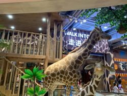 点击看大图 -鲁比猴非洲探索部落(喜盈门店)