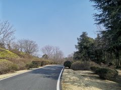 -宜兴龙背山森林公园