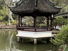 -上海醉白池公园