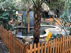 -陆地游轮吉林神农温泉