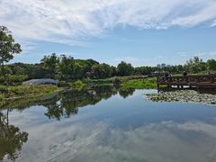 -金银湖国家城市湿地公园