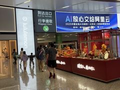 -杭州萧山国际机场