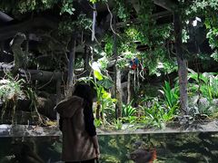 -江和美海洋公园