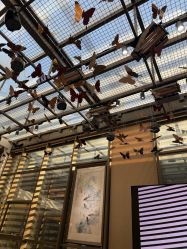 -中国黄金(北京旗舰店)