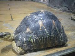 -石家庄市动物园