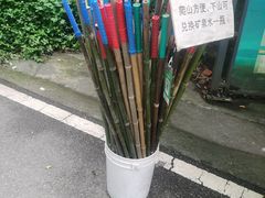 -青城山