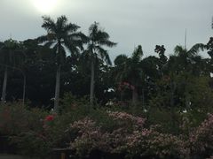 -面包新语(1海事广场)