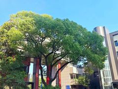 -南通中心濠河风景区圆融广场诺富特酒店