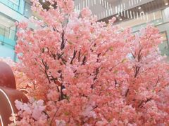 -新城市广场