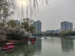 -皇家御河游(紫御湾码头)