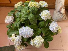 -撒椒·四川江湖菜(西单大悦城店)