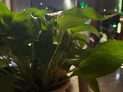 -番茄按摩·影院足道·柔足SPA(龙之道国顺路店)