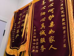 -瑞派康怡24h宠物医院·犬猫医疗中心·微创绝育(瑞景分院)