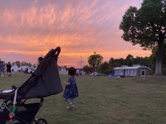 -上海长兴岛郊野公园